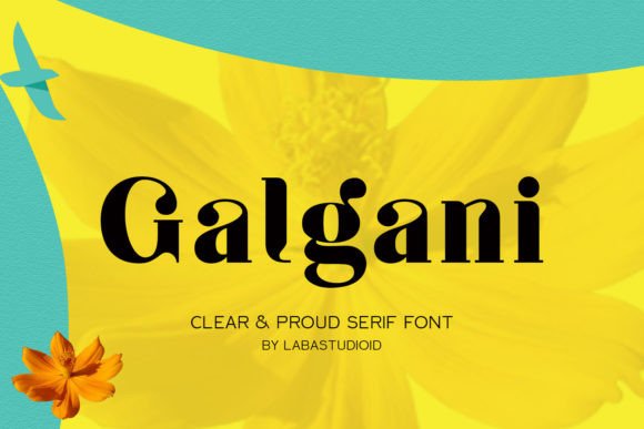 Galgani: A Serif Font That Elevates Digital Branding