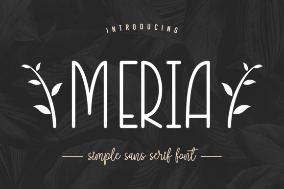 Meria: A Clean Sans Serif Font That Just Works in Campaigns