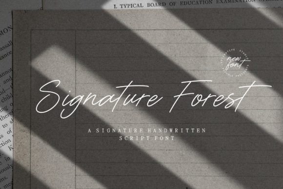 Signature Forest: A Modern Script Typeface for Digital Branding
